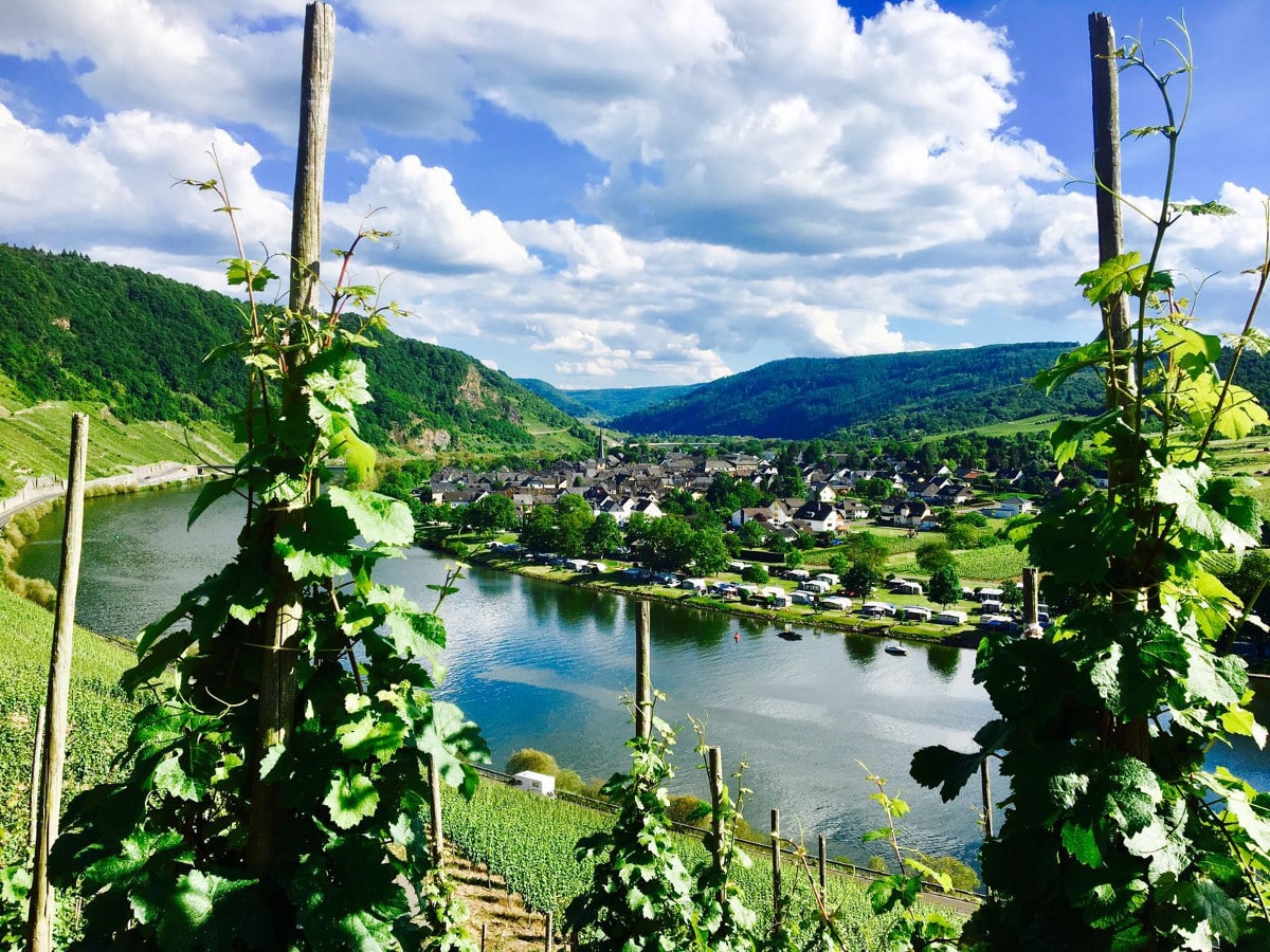 Mosel