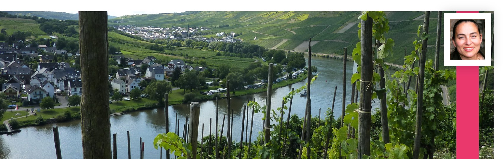 Panorma Wolf Mosel Traben-Trarbach