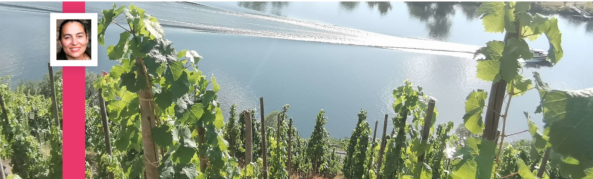 Urlaub an der Mosel